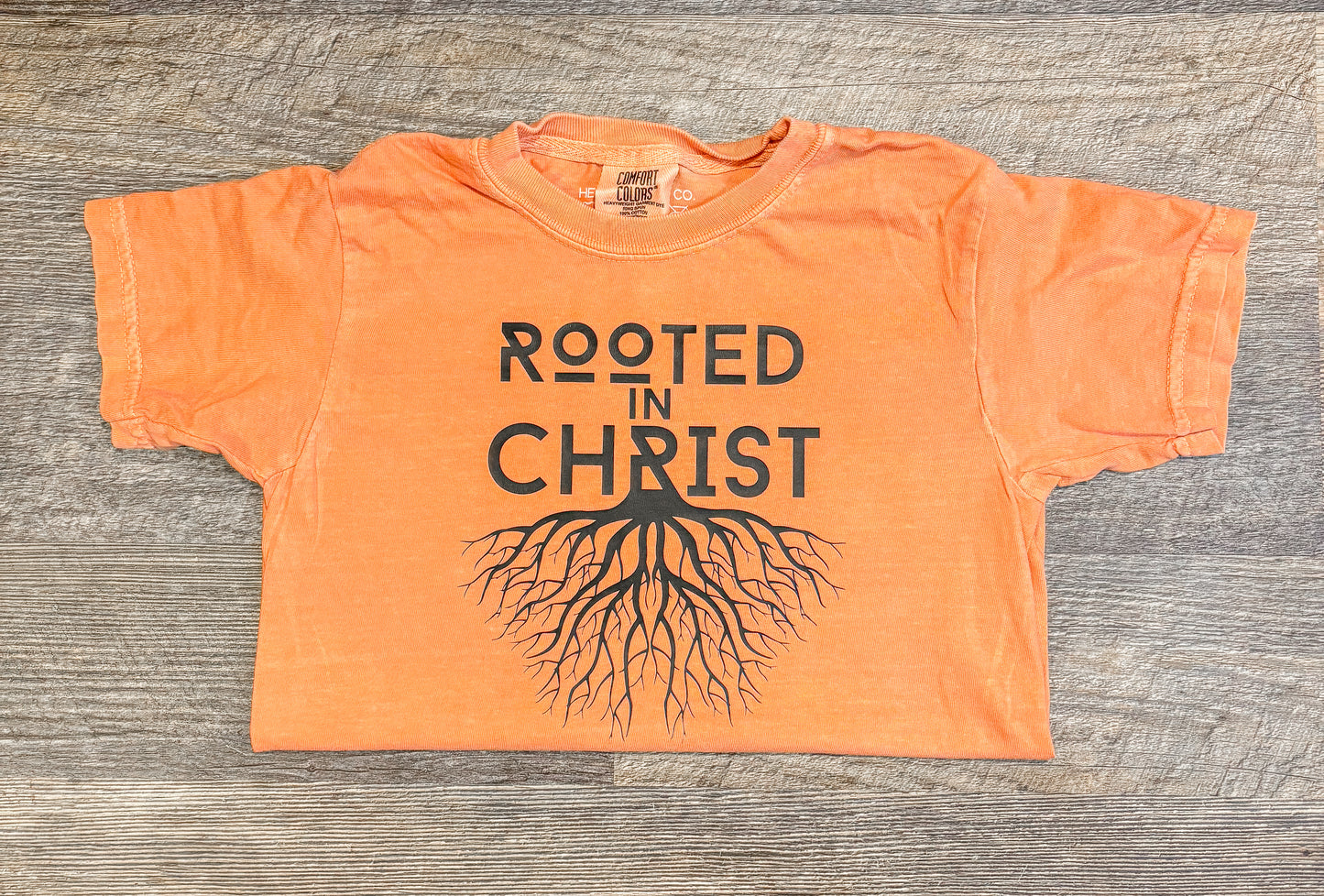 Rooted in Christ Youth Tee